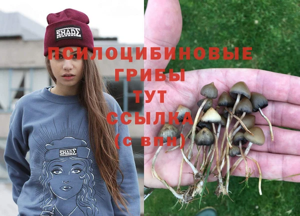прущая мука Кулебаки