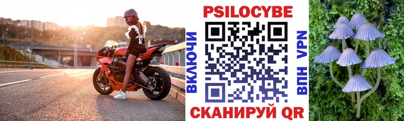 ссылка на мегу как войти  Кировград  Галлюциногенные грибы прущие грибы 
